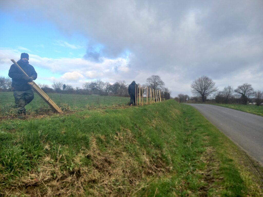 Travaux utiles EBECOB - Plantation d’arbres, pose des piquets