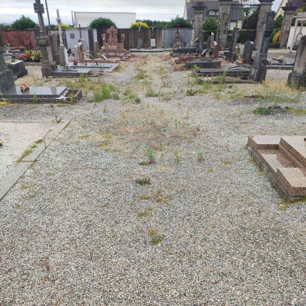 Travaux utiles EBECOB - Binage de cimetière - Avant