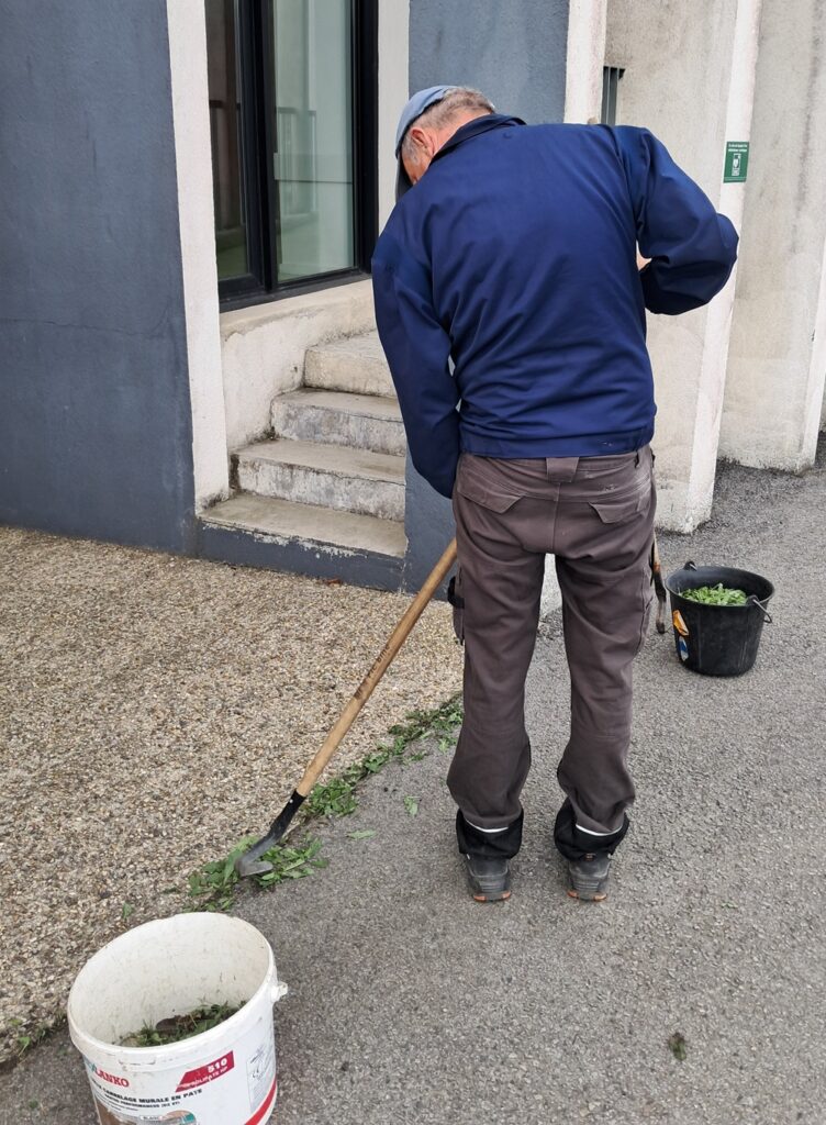 Travaux utiles EBECOB - Pieds de murs