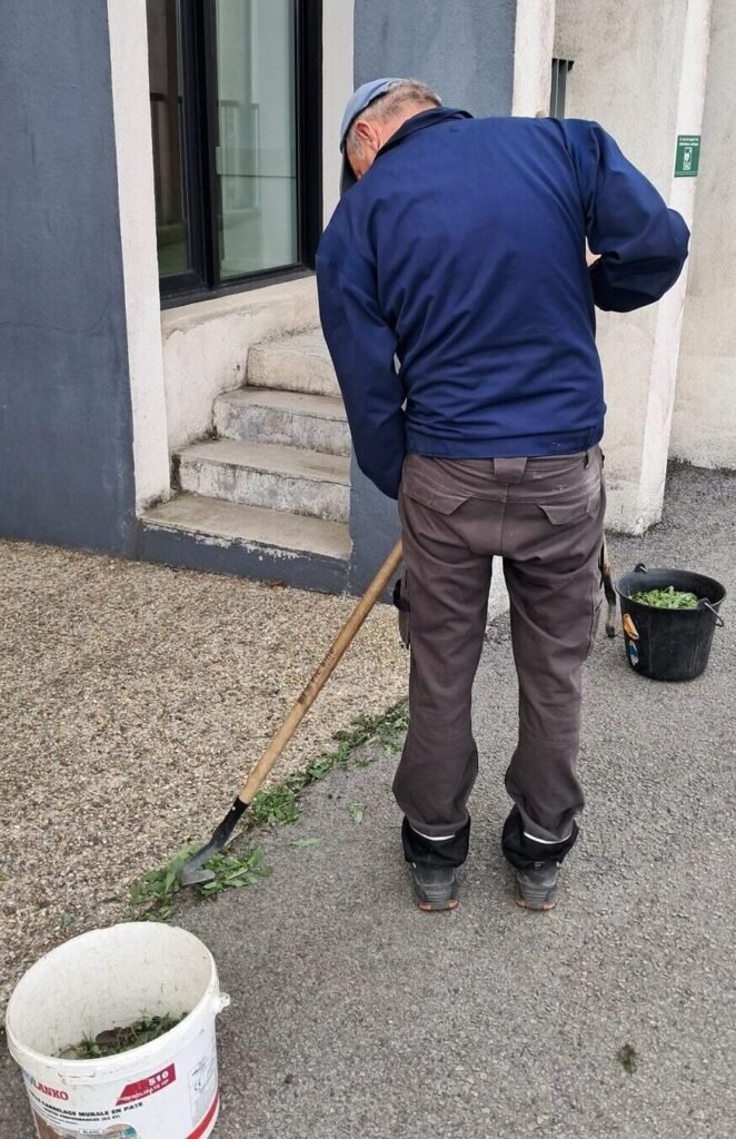 Travaux utiles EBECOB - Pieds de murs
